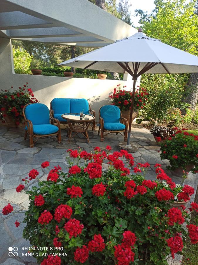 Sani Villa Maria Экстерьер фото